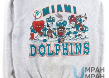 feature image Vintage Dolphins Football Looney Tunes Sweatshirt umpahumpah 1