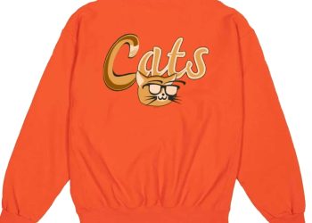 feature image Lehigh Valley Ironpigs Cats Shirt fashionwaveus 1